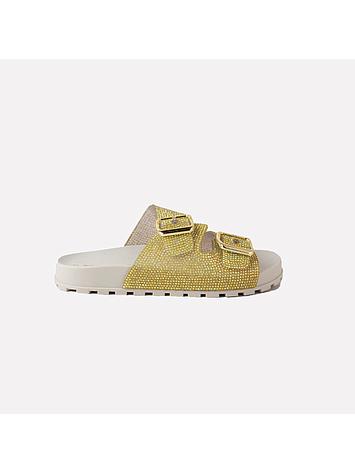 BIRK JAY