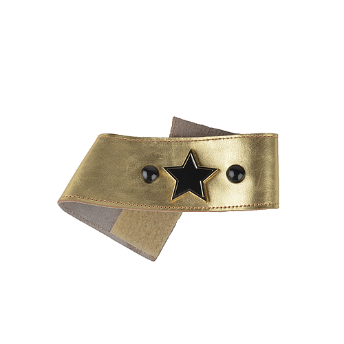 PULSERA ILLINOIS P/BOTA