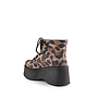 BORCEGO CLARENS